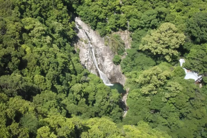 您也可以看到神戶的熱門旅遊景點佈引瀑布。 