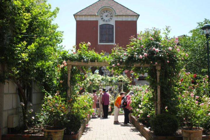 [神戶市]神戶布引香草園/纜車芳香物品製作體驗