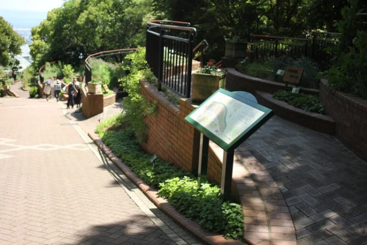 這座「藥草博物館」展出了約100種藥草。 