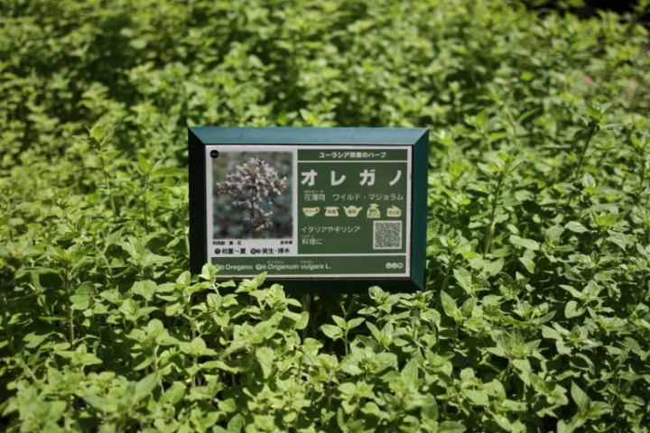 [神戶市]神戶布引香草園/纜車芳香物品製作體驗