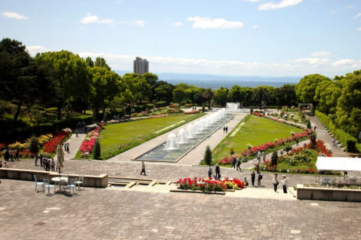 【고베시】 사계절의 아름다운 정원을 즐길 수 있는 “고베 시립 스마리궁 공원”