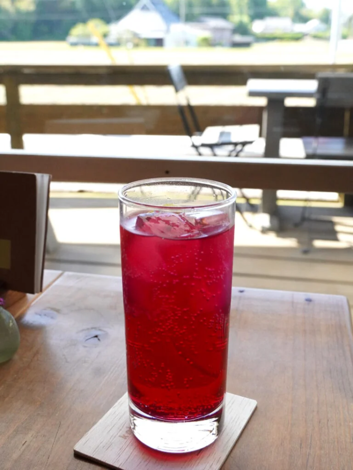 『홈메이드 아카 시소 스쿼시』 500엔