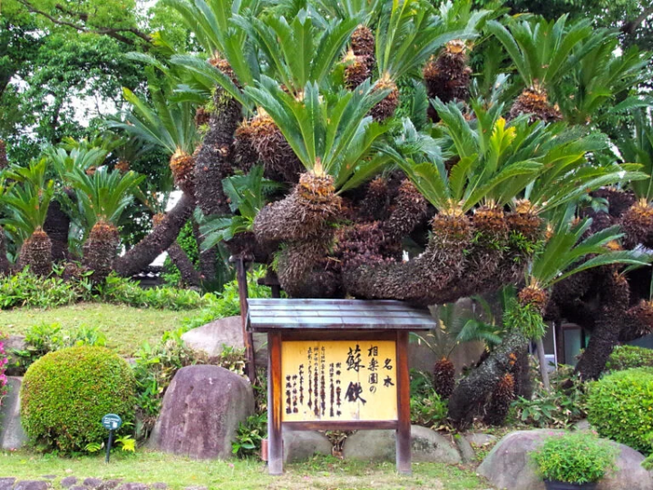[Kobe City] This is an oasis in the city! Kobe City Sorakuen is full of highlights