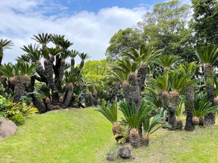 [Kobe City] This is an oasis in the city! Kobe City Sorakuen is full of highlights