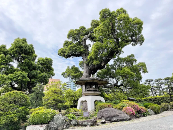 [Kobe City] This is an oasis in the city! Kobe City Sorakuen is full of highlights