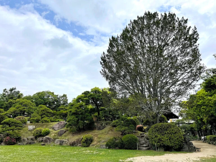 [Kobe City] This is an oasis in the city! Kobe City Sorakuen is full of highlights