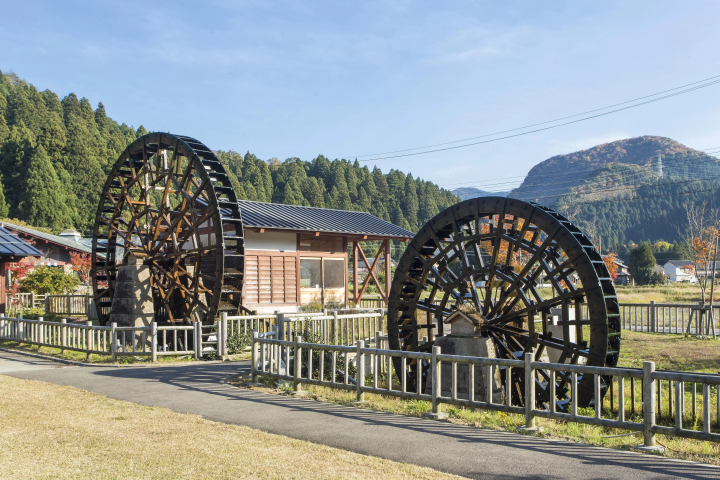 [เมืองซาไก จังหวัดฟุกุอิ] 5 สถานที่ท่องเที่ยวแนะนำในพื้นที่ทาเคดะที่ยังคงธรรมชาติดั้งเดิมไว้