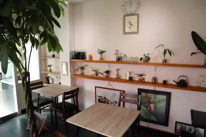 山口，巧克力之都！抹茶、可丽饼等可散步的巧克力美食