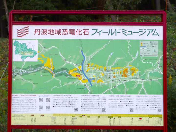 [丹波市] 1.1億年前的地層映入眼簾！