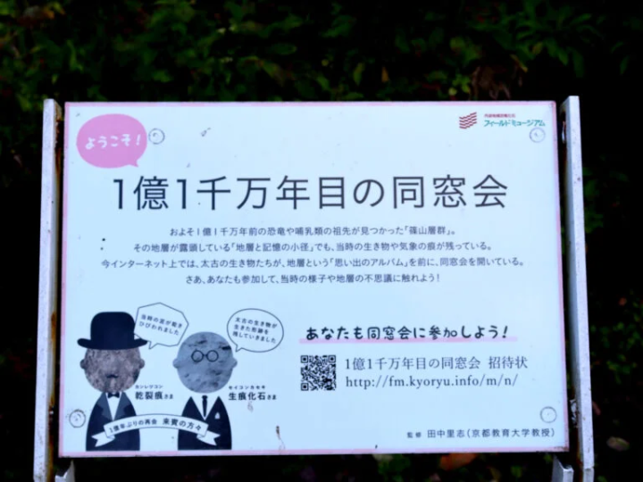 [丹波市] 1.1億年前的地層映入眼簾！