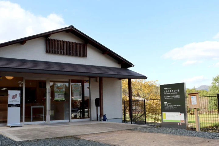 [丹波市] 1.1億年前的地層映入眼簾！