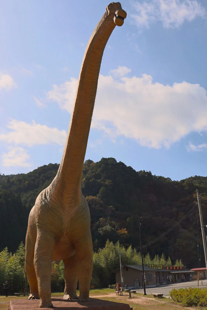 [丹波市] 1.1億年前的地層映入眼簾！