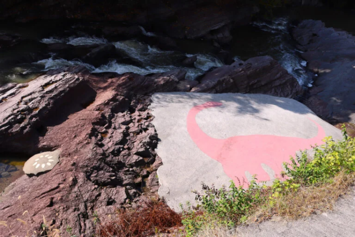 [丹波市] 1.1億年前的地層映入眼簾！