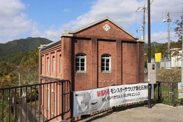 [丹波市] 1.1億年前的地層映入眼簾！