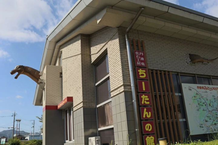 [丹波市] 1.1億年前的地層映入眼簾！