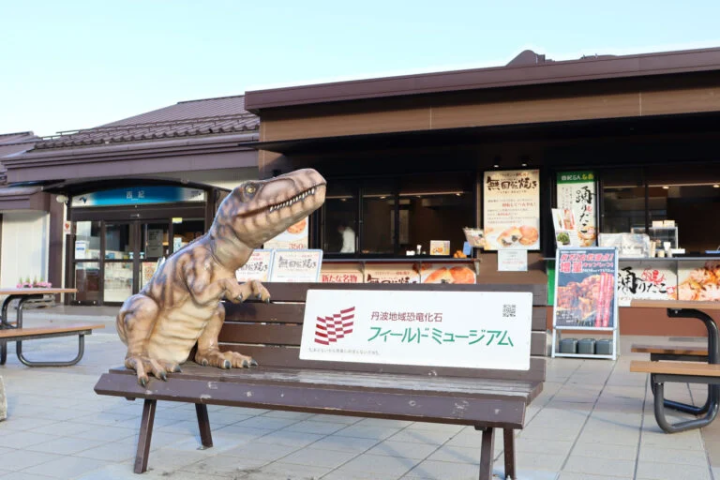 [丹波市] 1.1億年前的地層映入眼簾！