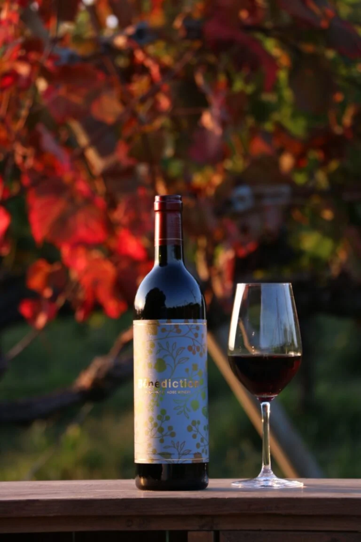 写真提供:『神戸ワイナリー』