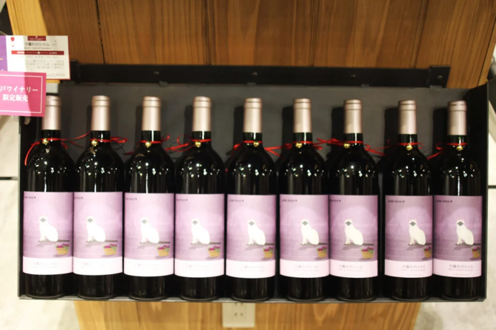 猫好きへのプレゼントにいかが?