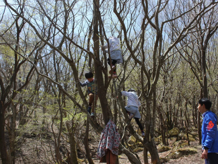 【神河町】大自然の中、大人も子供も遊びつくす【森のわんぱく冒険塾＠鋒山山荘】