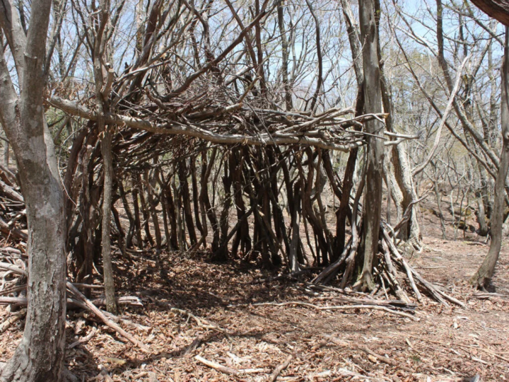 【神河町】大自然の中、大人も子供も遊びつくす【森のわんぱく冒険塾＠鋒山山荘】