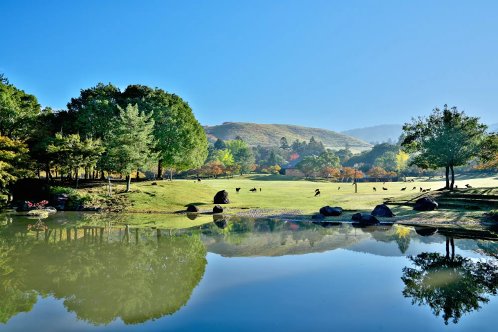 nara park