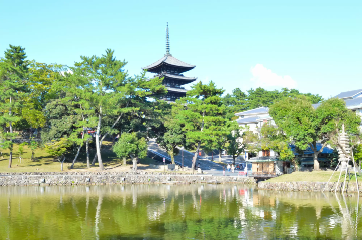 nara park