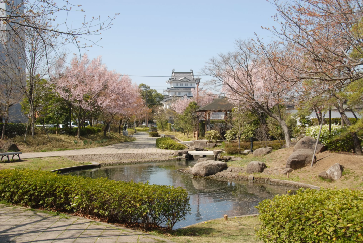 【2024 최신】 사이타마 현 유키타시의 추천 꽃놀이 명소 4 선! 사키타마 고분군, 미즈키 공원 등