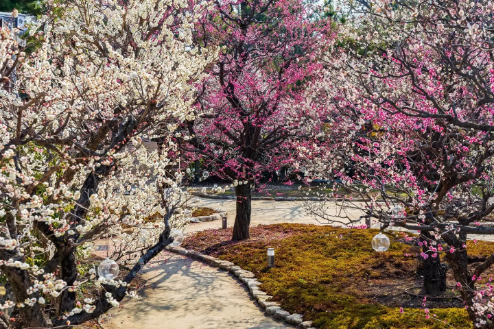 20 Beautiful Shrines in Kyoto: From Famous Locations to Unique Ones