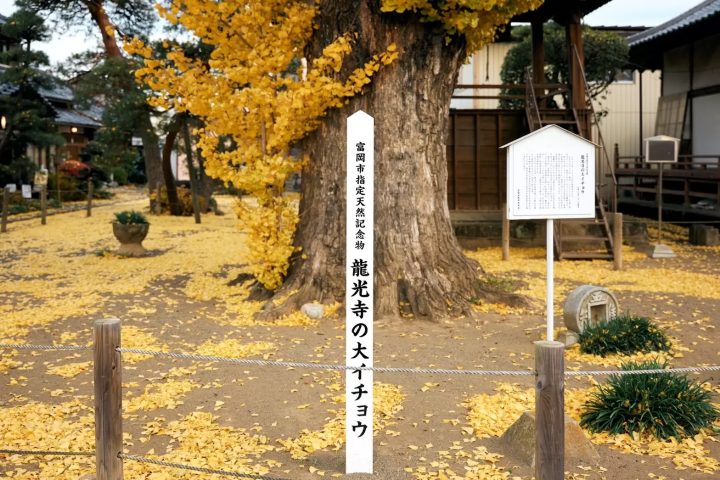 [群马县富冈市] 龙光寺，富冈制丝厂女工的安息地