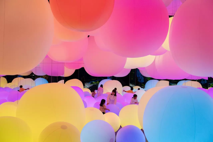 4 Excellent Digital Art Exhibitions by teamLab: Highlights and Discount Tickets