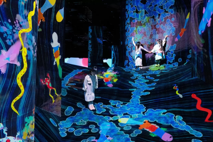 4 Excellent Digital Art Exhibitions by teamLab: Highlights and Discount Tickets