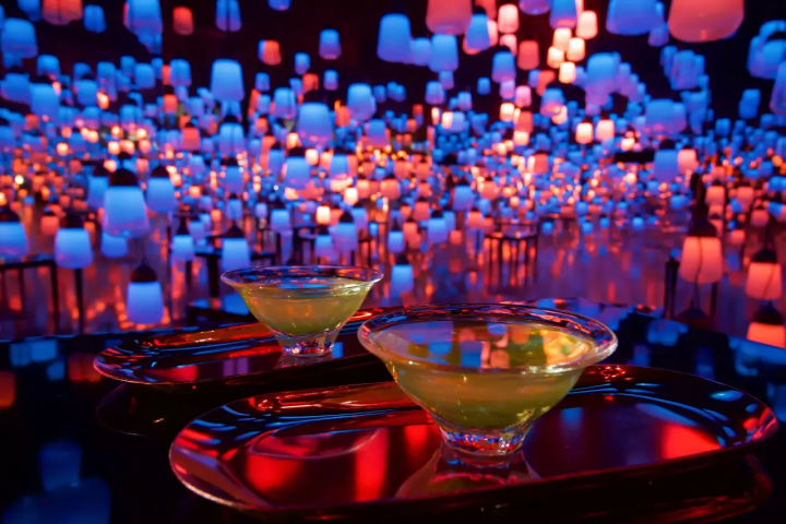 4 Excellent Digital Art Exhibitions by teamLab: Highlights and Discount Tickets