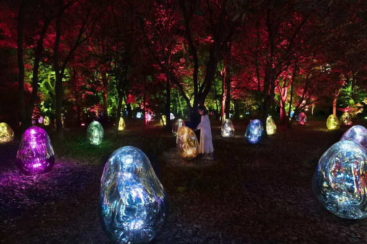 4 Excellent Digital Art Exhibitions by teamLab: Highlights and Discount Tickets