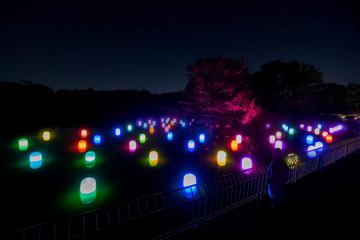 4 Excellent Digital Art Exhibitions by teamLab: Highlights and Discount Tickets