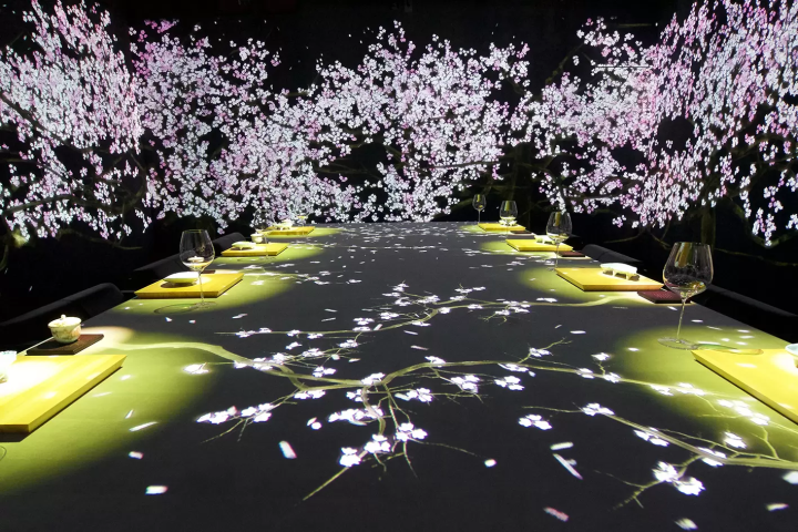 4 Excellent Digital Art Exhibitions by teamLab: Highlights and Discount Tickets