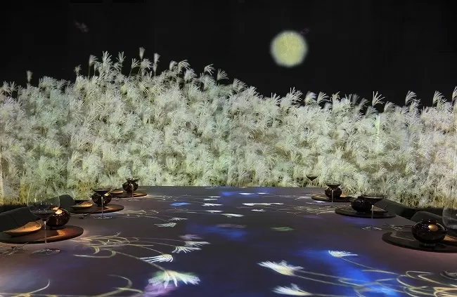 4 Excellent Digital Art Exhibitions by teamLab: Highlights and Discount Tickets