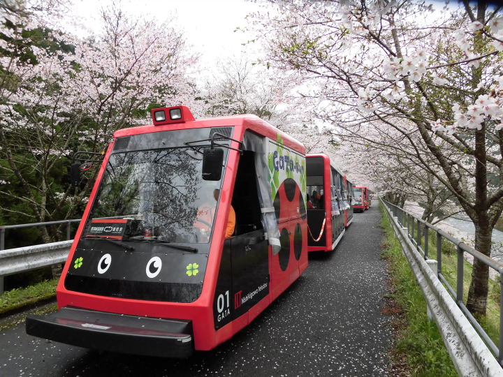 [เมืองอิวาคุนิ จังหวัดยามากุจิ] ไปที่นิชิกิโจ แหล่งกำเนิด "น้ำอันโด่งดังของอิวาคุนิ" กันเถอะ โดยนั่งรถไฟท้องถิ่นที่มีเอกลักษณ์เฉพาะตัวที่วิ่งไปตามลำธารใส!