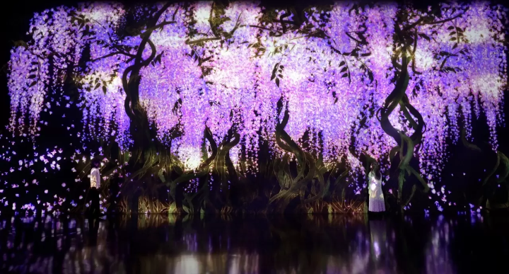 10 Excellent Digital Art Exhibitions by teamLab: Highlights and Discount Tickets