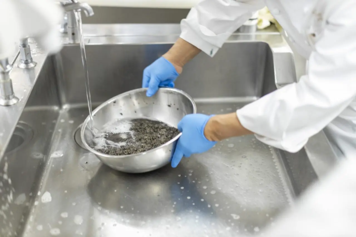 【仙台国際ホテルが考える特別な体験”自家製オリジナルキャビア”の試食会】