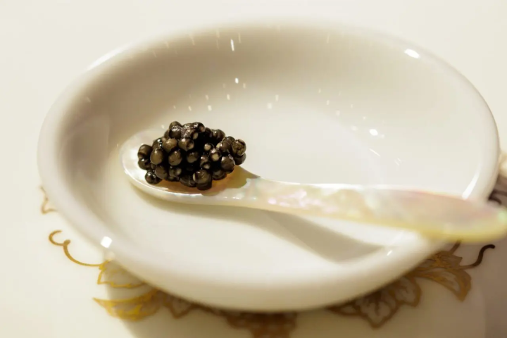 【仙台国際ホテルが考える特別な体験”自家製オリジナルキャビア”の試食会】