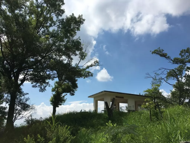 Mt. Hiraoka Observation Deck | Low mountain hike and surprising views