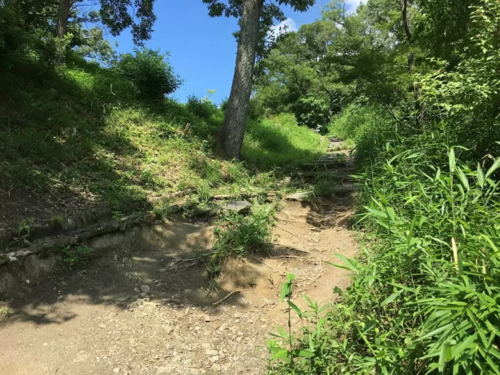 Mt. Hiraoka Observation Deck | Low mountain hike and surprising views
