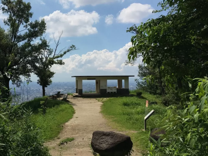 Mt. Hiraoka Observation Deck | Low mountain hike and surprising views