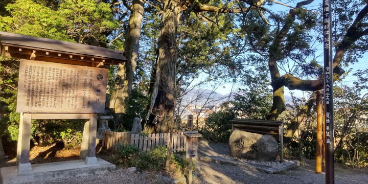 三重県菰野町（こものちょう）廣幡神社の花手水