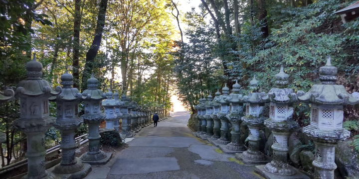 三重県菰野町（こものちょう）廣幡神社の花手水