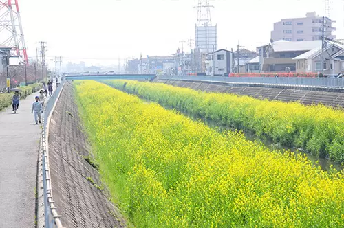 Higashiosaka “Flower Calendar”