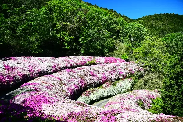 Higashiosaka “Flower Calendar”