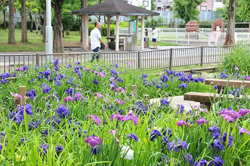 Higashiosaka “Flower Calendar”