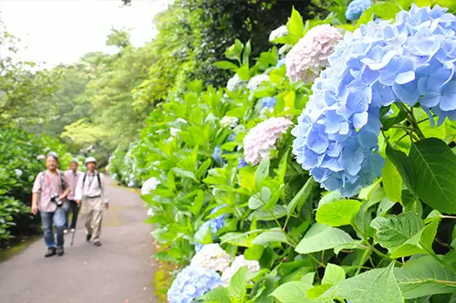 Higashiosaka “Flower Calendar”