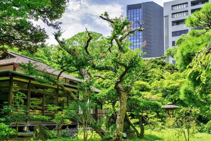 小石川後樂園 涵德亭